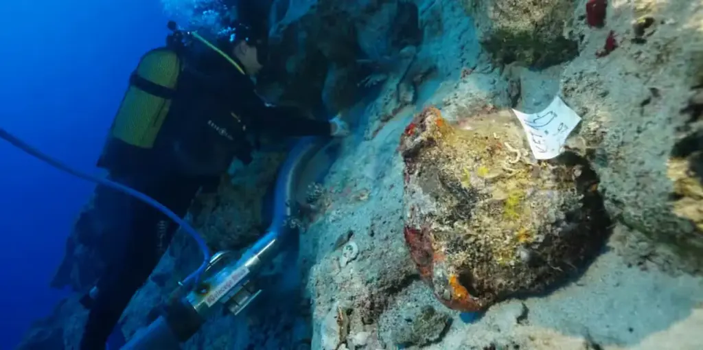 Ancient Cargo Uncovered in Turkish Waters Rewrites History of Early Trade